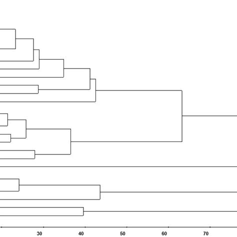 Dendrogram Generated By The Unweighted Pair Group Method With