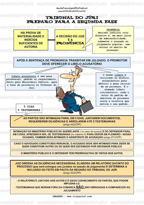 Bizu S Tribunal Do J Ri Preparo Para A Segunda Fase Direito Penal I