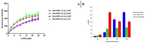 A Affinities Of 1 NPN To The McinOBP1 Wt And Three Mutants