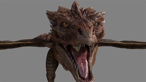 Dragon 3d Model Cgtrader