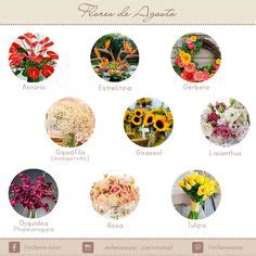 Ideias De Tipos De Flores Flores Para Casamentos Nomes De Flores