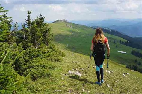 C Mo Elegir Bastones De Trekking Gu A Para Principiantes