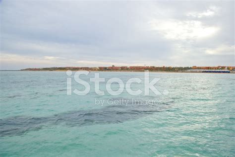 Red Sea - Sharm-El-Sheikh Stock Photo | Royalty-Free | FreeImages