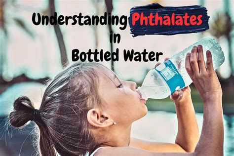 Understanding Phthalates In Bottled Water Water Purification Guide