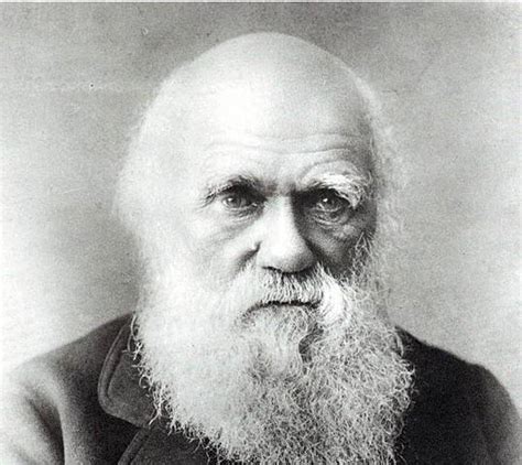 La Vida De Darwin Timeline Timetoast Timelines