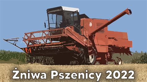 Żniwa Pszenicy 2022 Bizon Z056 Massey Ferguson 3610 YouTube