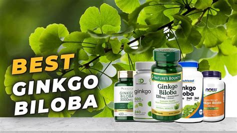 The Amazing Health Benefits Of Ginkgo Biloba Artofit