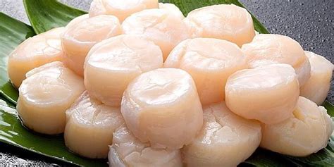 Hokkaido Scallops Sashimi 1kg Good Purveyor