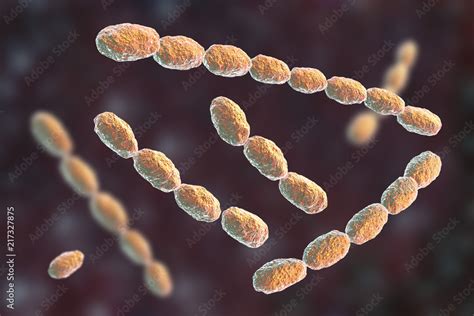 Haemophilus ducreyi bacteria, 3D illustration. Gram-negative ...