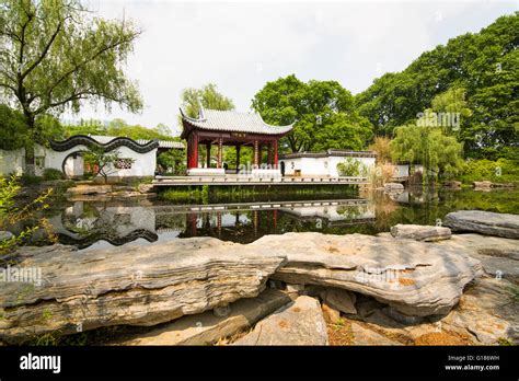 Chinese Classical Garden With A Pond Rocks And Nature At The Purple