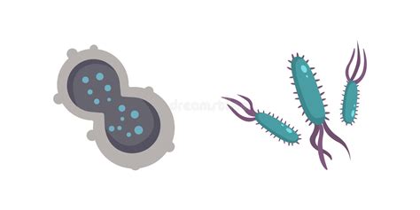 Ejemplo Colorido Determinado Del Vector De Los Virus Bacterias Y