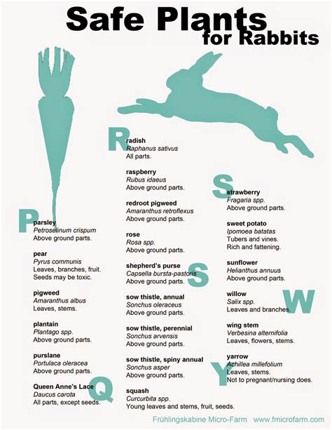 Printable Rabbit Diet Chart