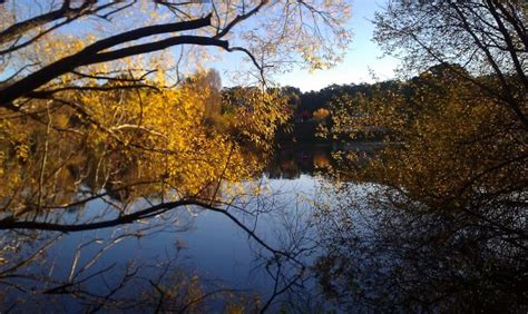 Free Images Landscape Tree Water Nature Winter Morning Leaf