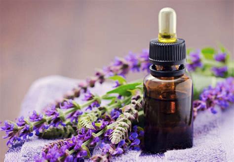 Clary Sage And Menopause Natural Optimum Health