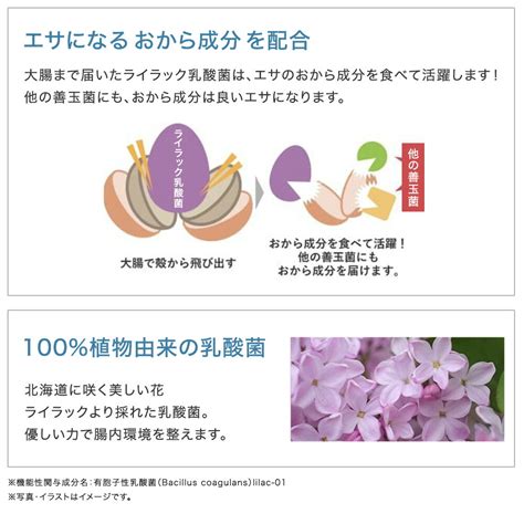 【楽天市場】【公式】 キューサイ ライラック01乳酸菌 60粒入 約30日分 [機能性表示食品]：【公式】キューサイ楽天市場店