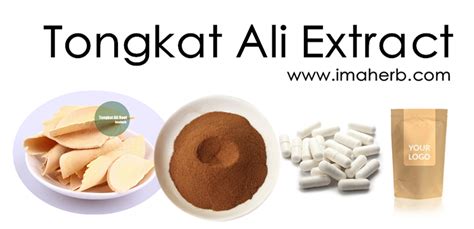 Tongkat Ali Full Roots And Tongkat Ali Extract