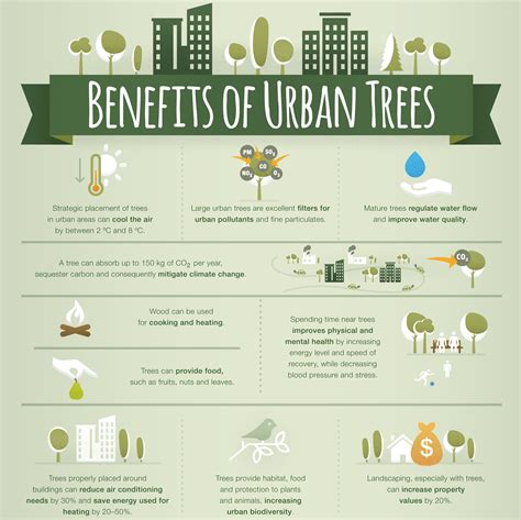 Benefits Of Urban Trees