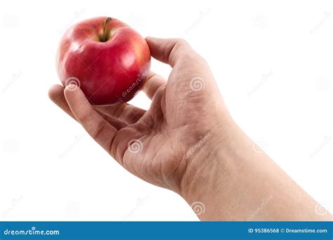 Una Mano Y Una Manzana Aisladas En El Fondo Blanco Foto De Archivo