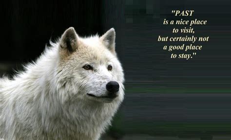 Wolf Spirit Quotes And Sayings. QuotesGram