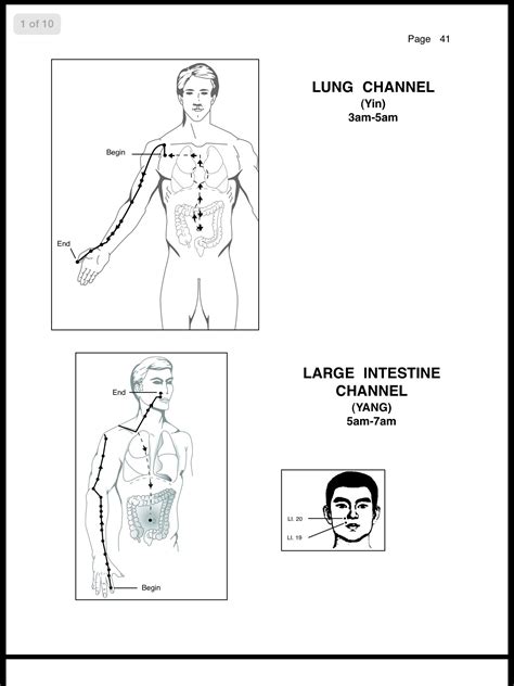 Lung And Large Intestine Meridian Poses Autumn Yoga Poses For The