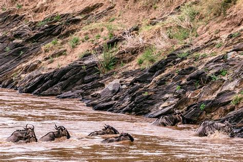 National parks in kenya - Visum Kenia