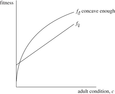 The TriversWillard Hypothesis Sex Ratio Or Investment Proceedings