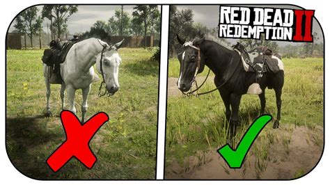 Rdr2 where to find black arabian horse