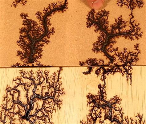 Fractal Lichtenberg Figure Wood Burning With Electricity Fractals