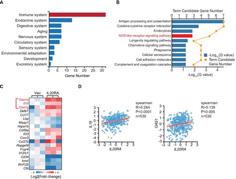 Figures And Data In A Systematic Crispr Screen Reveals An Il Il Ra