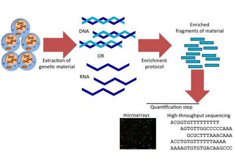 High Throughput Experimental Methods In Genomics Computational