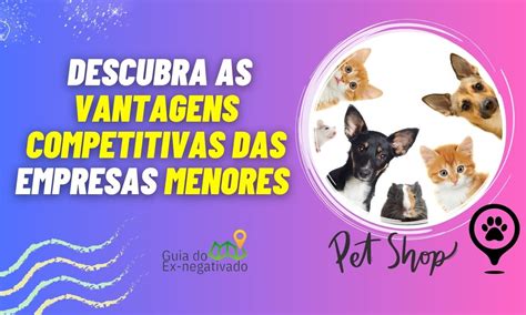 Querendo Abrir Um Pet Shop Empresas Menores Podem Ter Mais Sucesso Do