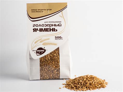Каталог