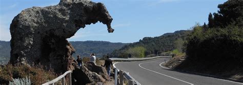 Lo Sapevate In Sardegna C Una Bellissima Roccia A Forma Di Elefante