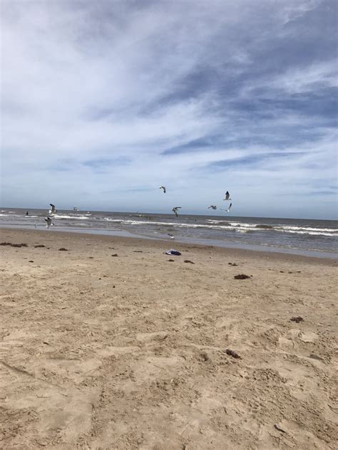 Matagorda Public Beach - 41 Photos - Beaches - Matagorda, TX - Yelp