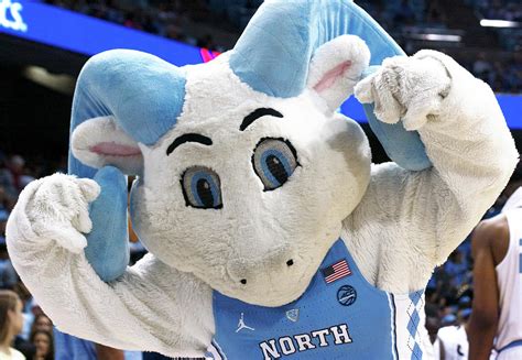 UNC-CH Rameses Jr. Photograph by Orange Cat Art - Pixels