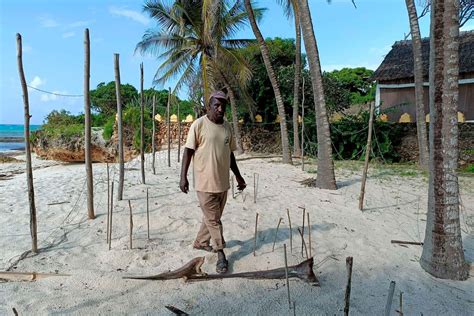 Protecting endangered sea turtles on Kwale beaches | Nation