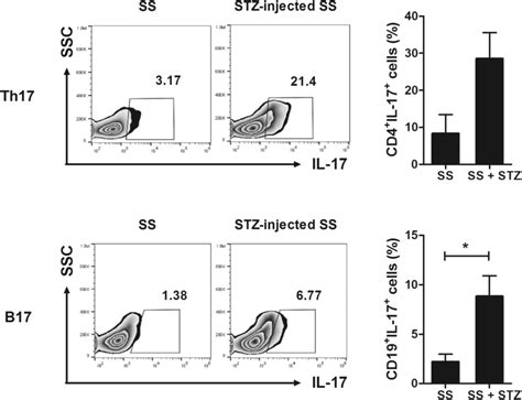 Induction Of T D Promotes Infiltration Of Il Producing Cells Into