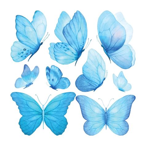 Premium Vector Butterfly Set Watercolor Soft Watercolour Poster Print