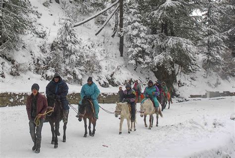 Today's Photo : Tourists take a ride during snowfall, in Kufri