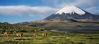 Western Cordillera - Canadian Landform Region's