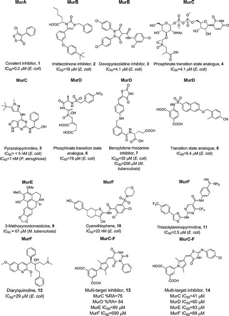 Structures Of Representative Inhibitors Of Mura F With Inhibitory Data