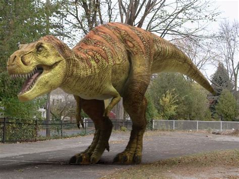 dino