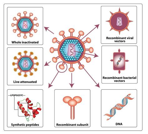 Road To An Effective HIV Immunogen Immunopaedia