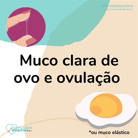 Muco Clara De Ovo E Ovula O Fertilidade Positiva