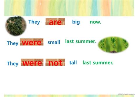 Past Simple Was Were Grammar Guide English Esl Powerpoints