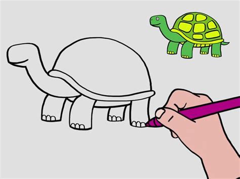 Apprendre à Dessiner Une Tortue En 3 étapes