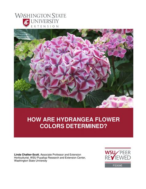 (PDF) HOW ARE HYDRANGEA FLOWER COLORS DETERMINED?