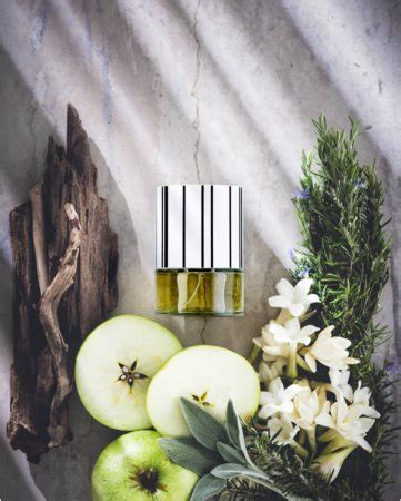 N C P Olfactives Apple Driftwood Eau De Parfum Unisex