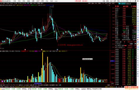 通达信凤凰成交量柱指标公式源码副图 通达信公式 公式网