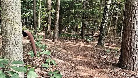 Flash Am Baggersee Gay Man Porn XHamster